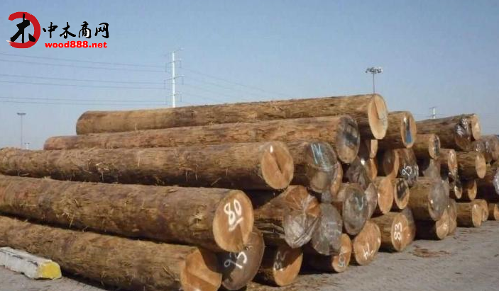 加纳木材出口情况统计