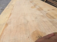 长期大量批发白坚木 白坚木板材五分厚2.3/2.6/3.0米