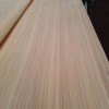 长期大量批发 沙比利 克隆木  科技门板原色一级二级科技木皮