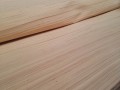 千德福科技木业-chanp tup