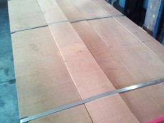 精品欧洲实木板材 欧洲榉木原木 榉木板材
