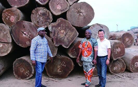 赤道几内亚林业部二位局长莅临万蓬国际参观考察图片