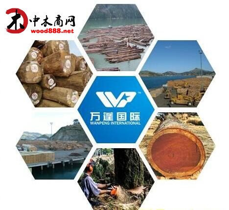 万蓬国际：中国比较大的非洲木材采伐进口商之一