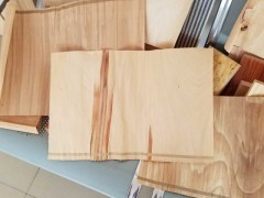 精品木皮批发 各种规格 尺寸 榉木木皮 长期大量批发