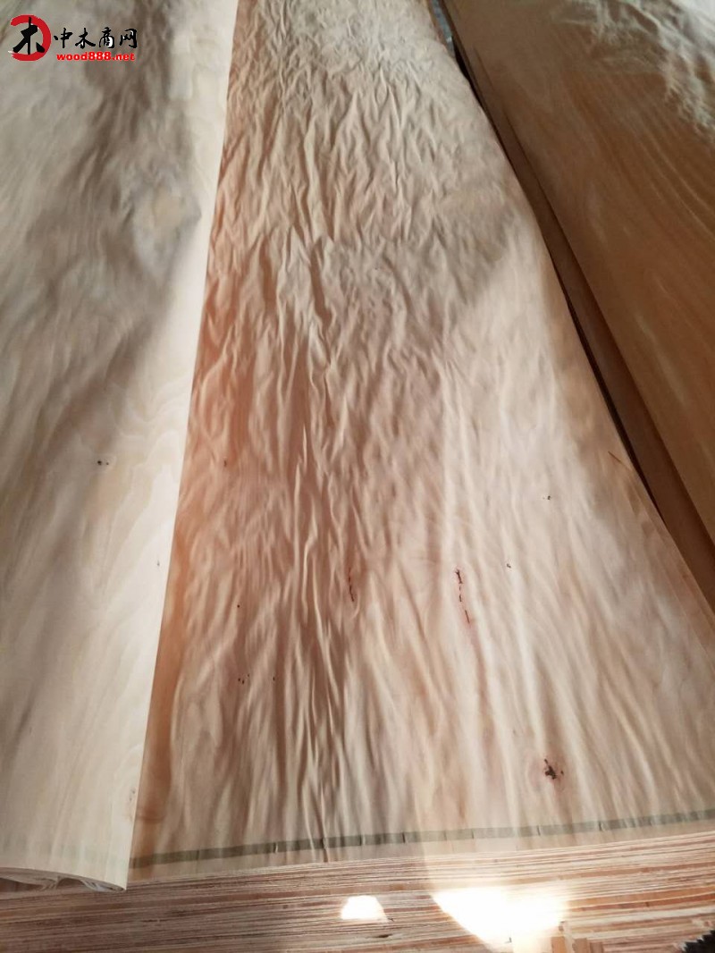可定制 各种规格 厚度的榉木木皮 货源稳定 长期批发