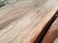 海波木业-产品图片