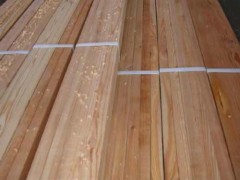 长期批发进口原木松木 桉木 铁杉 木方 蒸汽木方 刨方 木板