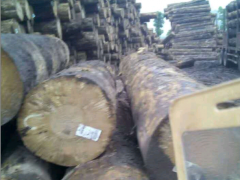可定制 各种规格 柏木 松木 杉木 货源充足 品质保证