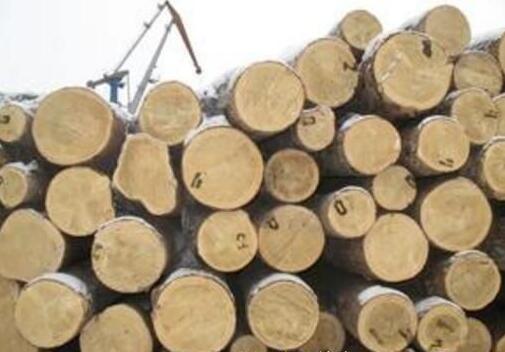 绥芬河进口俄罗斯木材量稳步上升