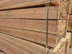 厂家直销 辐射松 铁杉 花旗等建筑木方 木材加工可按需求加工
