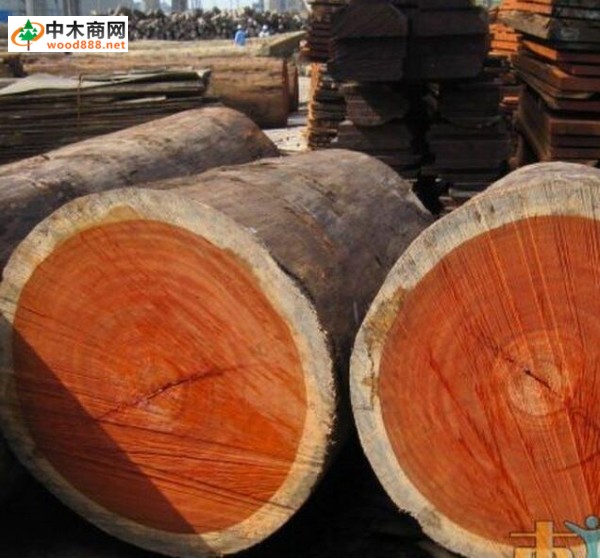 木材百科：红花梨的木材性质和相同商品名称的树种