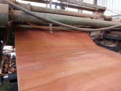 东莞柏能木业新到南美旋切材,各种规格大量供应图2