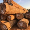南美旋切材直供厂家首选东莞柏能木业