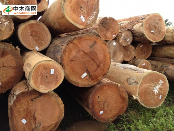 东莞柏能木业新到南美旋切材,各种规格大量供应