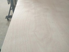 多层板 包装版 家具板 基板首选商家临沂丰苑木业多层板厂