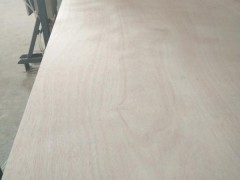多层板 包装版 家具板 基板首选商家临沂丰苑木业多层板厂