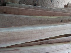 求购：苦楝木,需要厚度2.5至5.5公分,长度1米以上图1