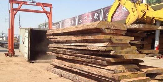 张家港木材市场小斑马原木与板材受到市场青睐