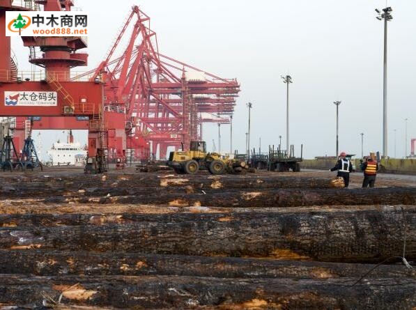 沪通铁路将直通太仓港，木材运费有望降低一半