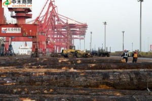 沪通铁路将直通太仓港，木材运费有望降低一半