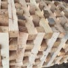 公司现已大量生产松木 杂木 水杉半成品