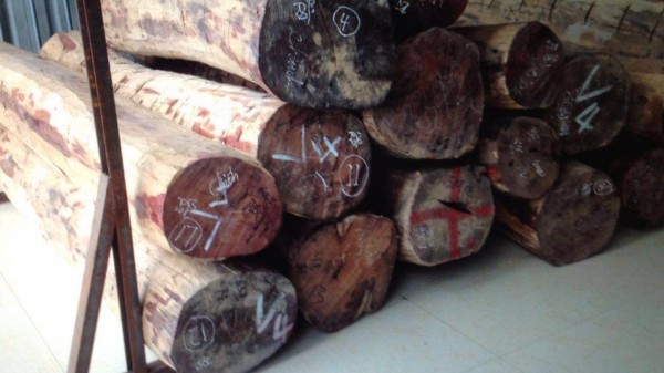 收藏极品老挝大红酸枝原木和方木