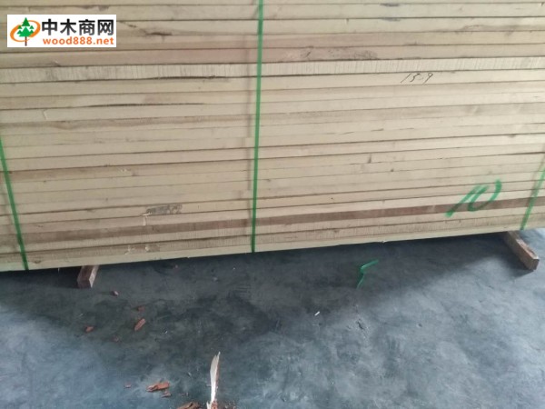 青岛无节樟子松实木板材国内品牌_森普国际木业供应商