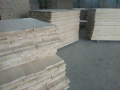 山东轩聚木业大量生产销售白椿木、白杨木直拼板,白杨直拼抽屉料图3