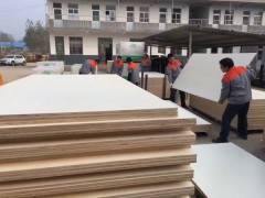 《蓝山木歌》东北杨生态板图2