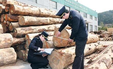 湖州市进口木材总量及增长幅度均创历年比较高