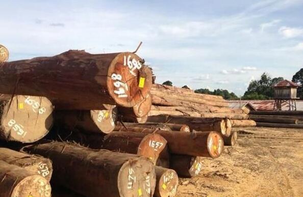 镇江口岸进口木材100多万立方米 是去年同期的10倍