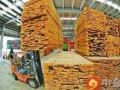 珲春市加快构建国际合作的木材纵向产业链