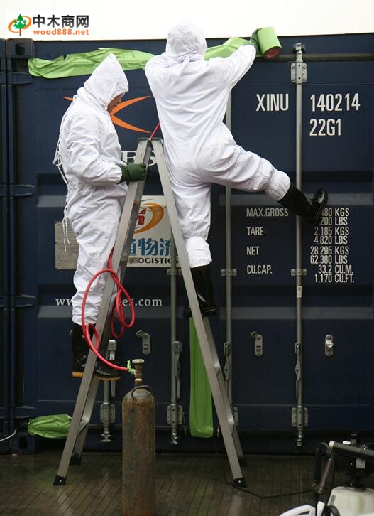 木材的非永久性免疫处理方法——熏蒸处理