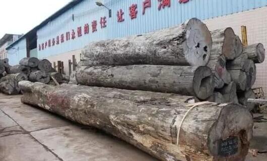 深圳观澜红木市场走访记：花梨类木材价格大涨