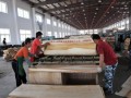 大丰港木材产业园区紧扣项目夺全年