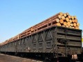 俄边疆区将建设西伯利亚—中国木材转运站