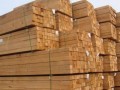 大丰港木材产业高峰论坛现场纪实