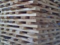 怀宁兴邦木业主营：楝木家具材，指接材等宽楝木实木条