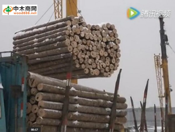 绥芬河口岸进口木材持续攀升