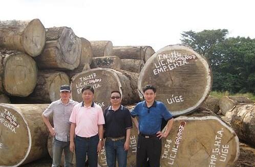 安哥拉木材产业深度分析