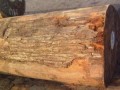 进口木材名称国标：奥特山榄