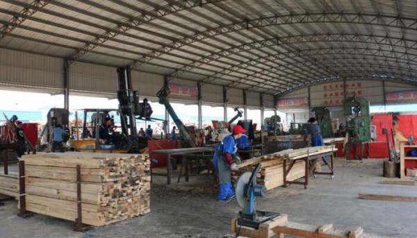 太仓口岸木材进口量基本平稳 产业结构更合理