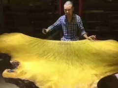 黄金樟_金丝楠_红豆杉_根雕_茶几_大板_茶盘_茶台图3