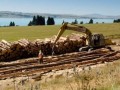 新西兰木材迎来对华出口新机遇