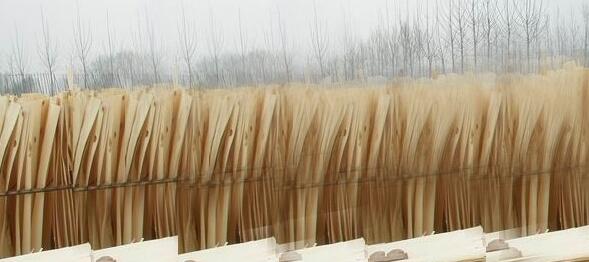 杨木
