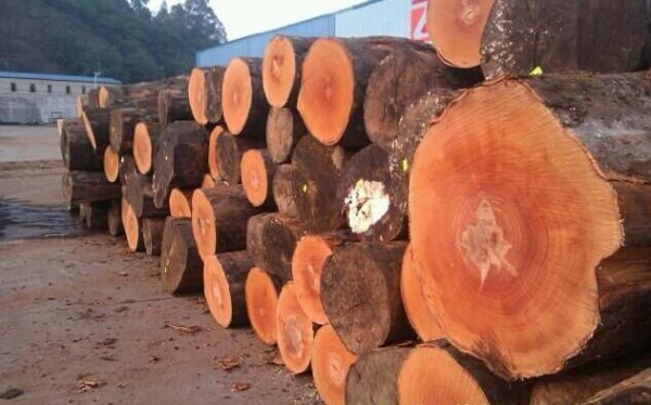 奥地利和德国的锯材原木价格跌至10年来的低点