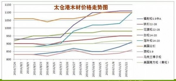 2016下半年太仓港进口原木价格走势分析