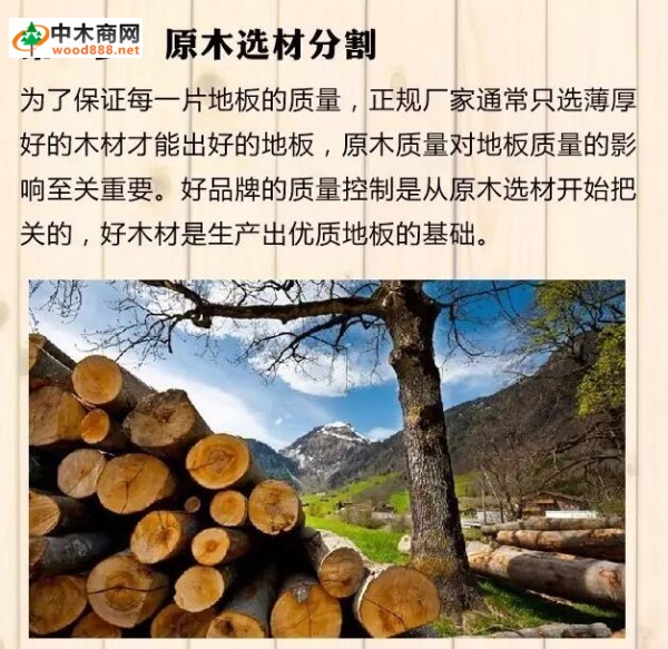 实木复合地板生产全过程（最全图解）