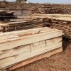 专业生产各种规格杨木制品,杨木方条,杨木板材等
