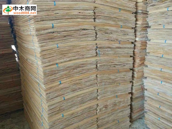 广西桉木单板国内品牌_东岳木业图片